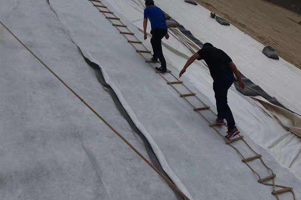 三维复合排水网怎么解决渗滤液淤堵  第1张