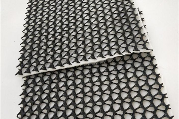 怎么判断三维复合排水网的质量优劣  第1张